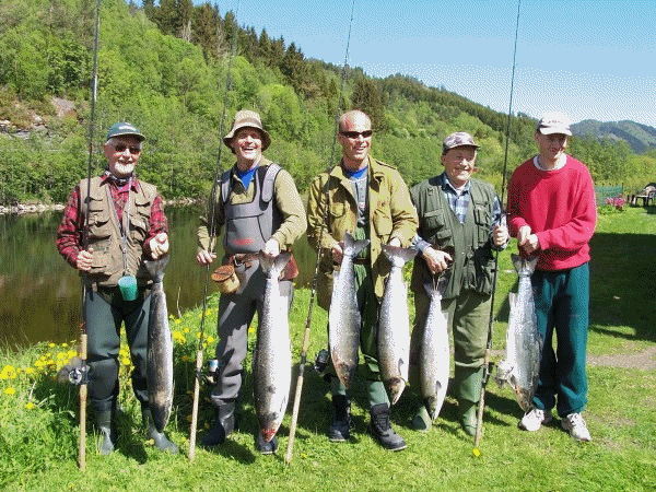 NettskoleRessurs
