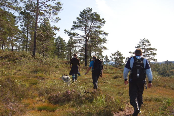ut på tur_1024x681