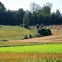 kornpris2010_235