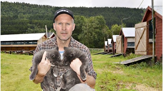 arne o sæter
