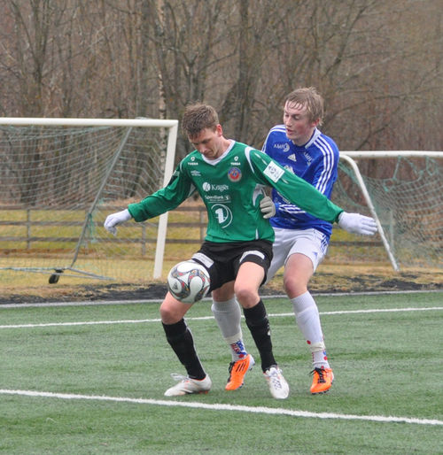 volda håvard_500x514