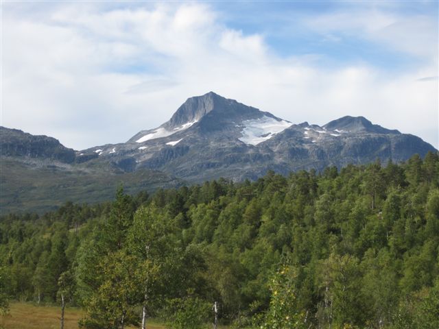 Snota