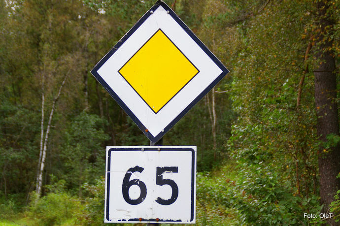 Route 65 1