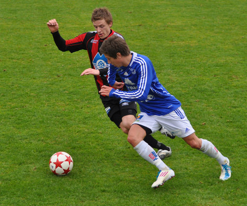 larsnes stein_500x417
