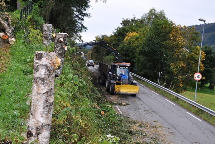 skogselskapet_1024x685