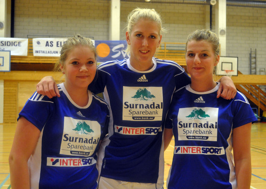 grytbakk skjølsvold nerland_550x391