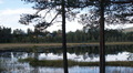 Haust ved Igltjønna. Foto: Anne S.