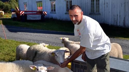 ståle reiten_500x281