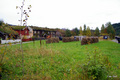 Venter på høytørk. Foto: OleT
