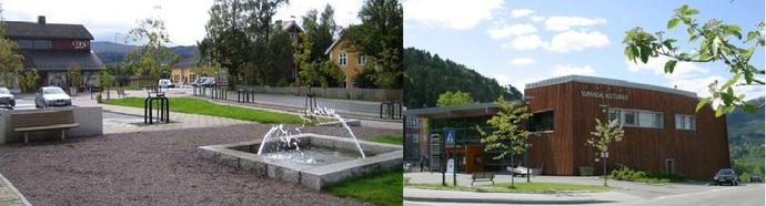Rindal-surnadal