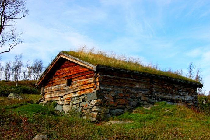 okt 11 Trond Moksnes_1024x683