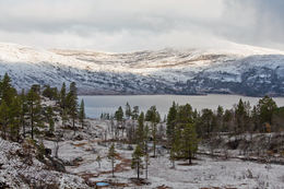 Sandfjellet og Foldsjøen fra Storbekklia
