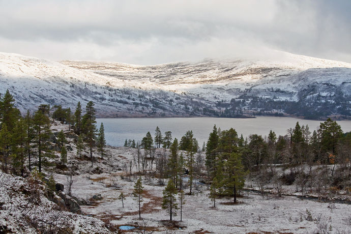 Sandfjellet og Foldsjøen fra Storbekklia
