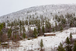 Storbekklisetra (Utigard Aunsetra)
