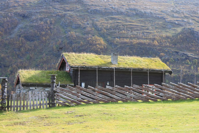 Trond M høst 2_1024x683
