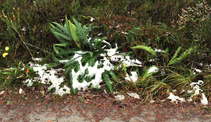 Snø i vegkanten_1024x593