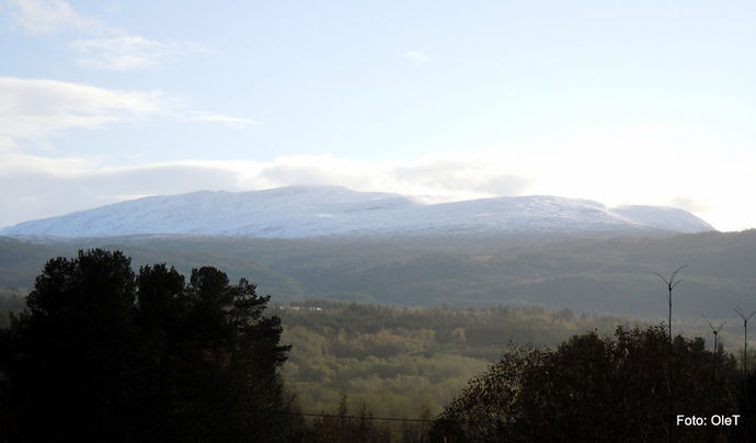 DSCN1088_715x419