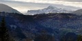 Snota fra Tørsetmarka - klkk for større bilde. Foto: Willy