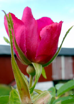DSCN1187