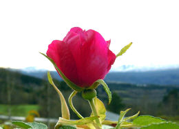 DSCN1189