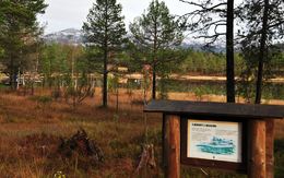 Tjernet i skogen 2_1024x641