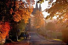 Gløshaugen