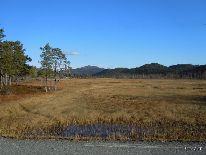 Haust 26