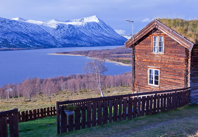 Harald Egil Folden