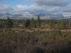 Rondane,Rondane mountain,Rondane National Park,Norway