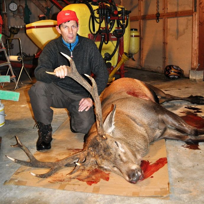 Jarle fiske hjort 1_1024x1025
