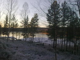 Fint mot Tjønna 12 Nov 11 _1024x768