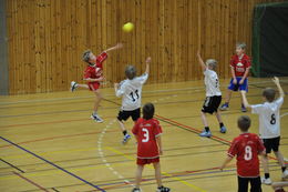 Steinar hoppskudd