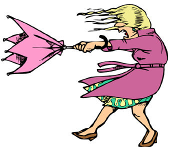 windy
