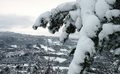 Den første snøen har gitt et fantastisk kvitt landskap - her Rindal sentrum fra Grytstoin. Klikk meg større. Foto: Willy