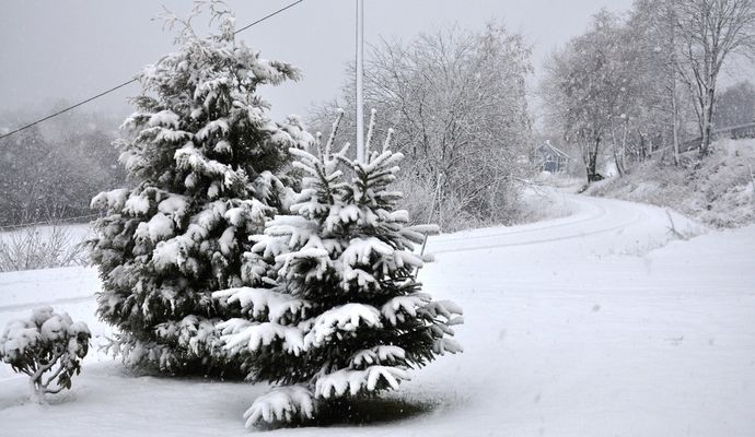 snø Solum 1_1024x594
