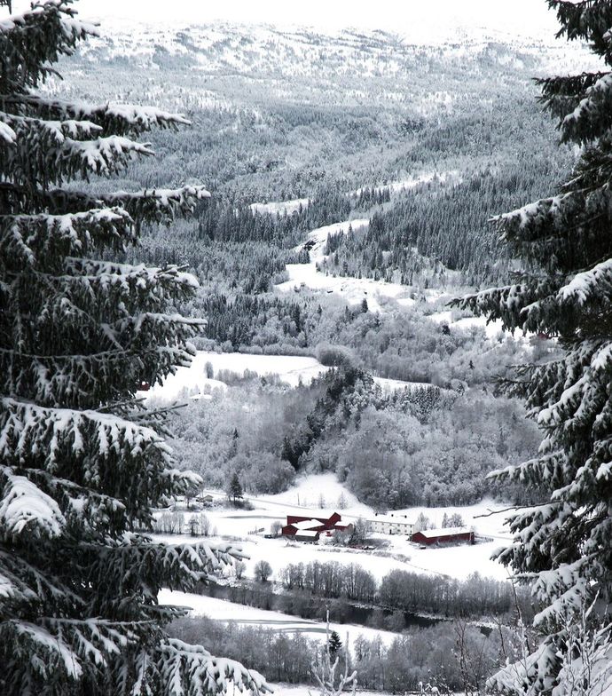 Bolmvollan_1024x1163