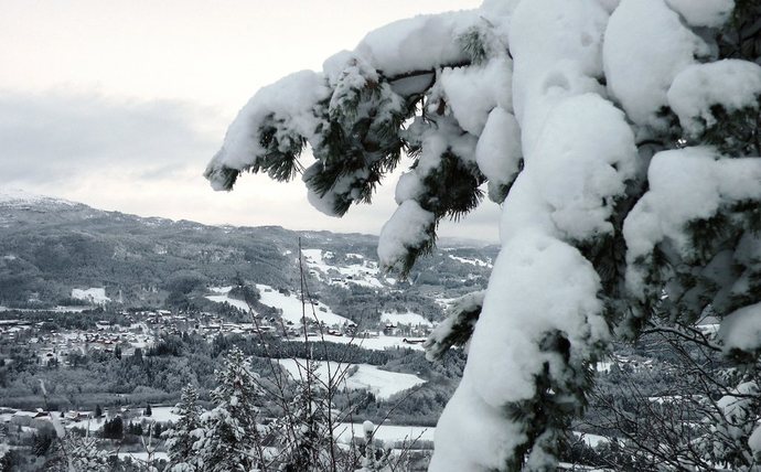første snø 2011_1024x635