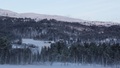 Liset hyttegrend i Lomunddalen