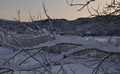 Bolme nyårsdagen - velkommen skal du være 2012. Foto: Willy