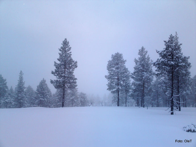30122011966_715x536