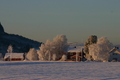 Kald vintermorgen på Leinstrand. Foto: Trond Moksness