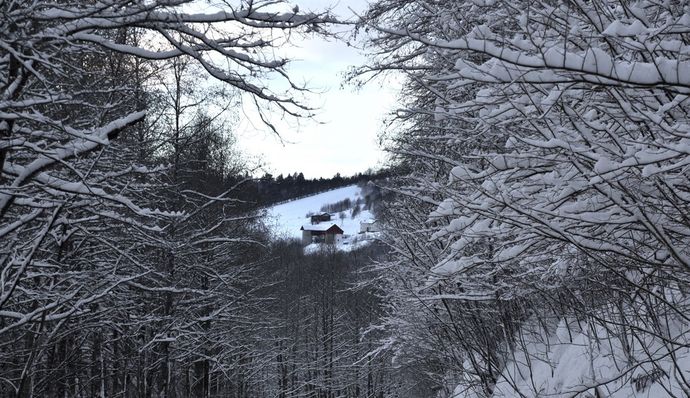 Rindal Surnadal_1024x591