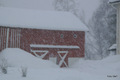 Det snør, det snør ....Foto: OleT