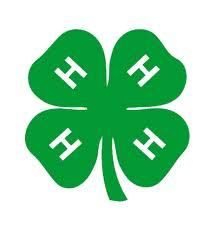 4 H