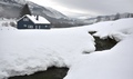 Smak av vår i frostdis i januar. Foto: Willy