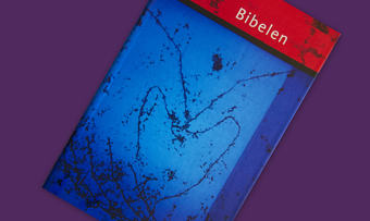 Bibel 20111