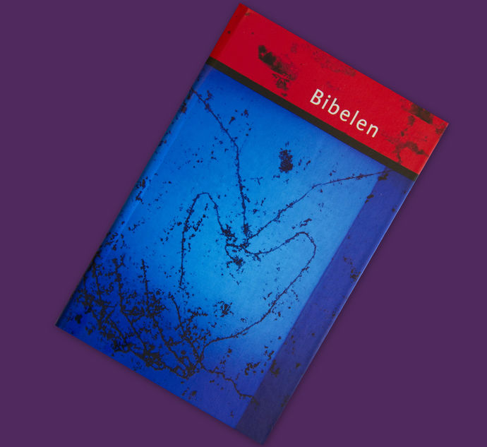 Bibel 20111