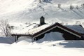 I dag, 22. januar, er det verdens snødag