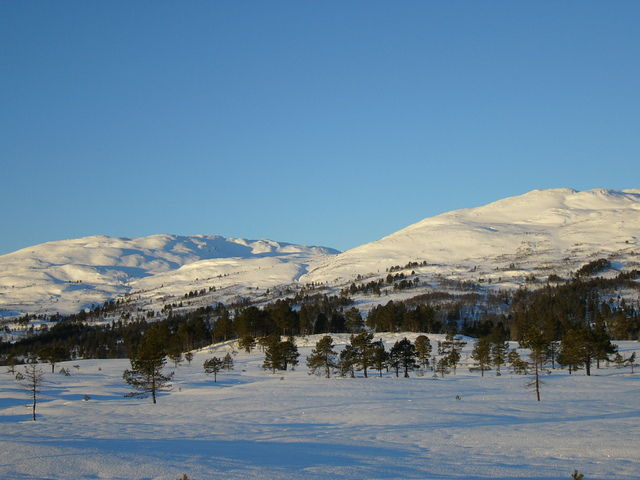 Storfj