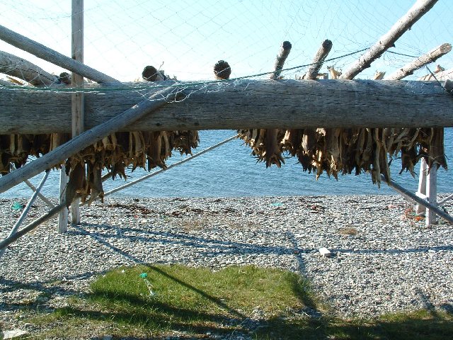 Stockfish_640x480.jpg